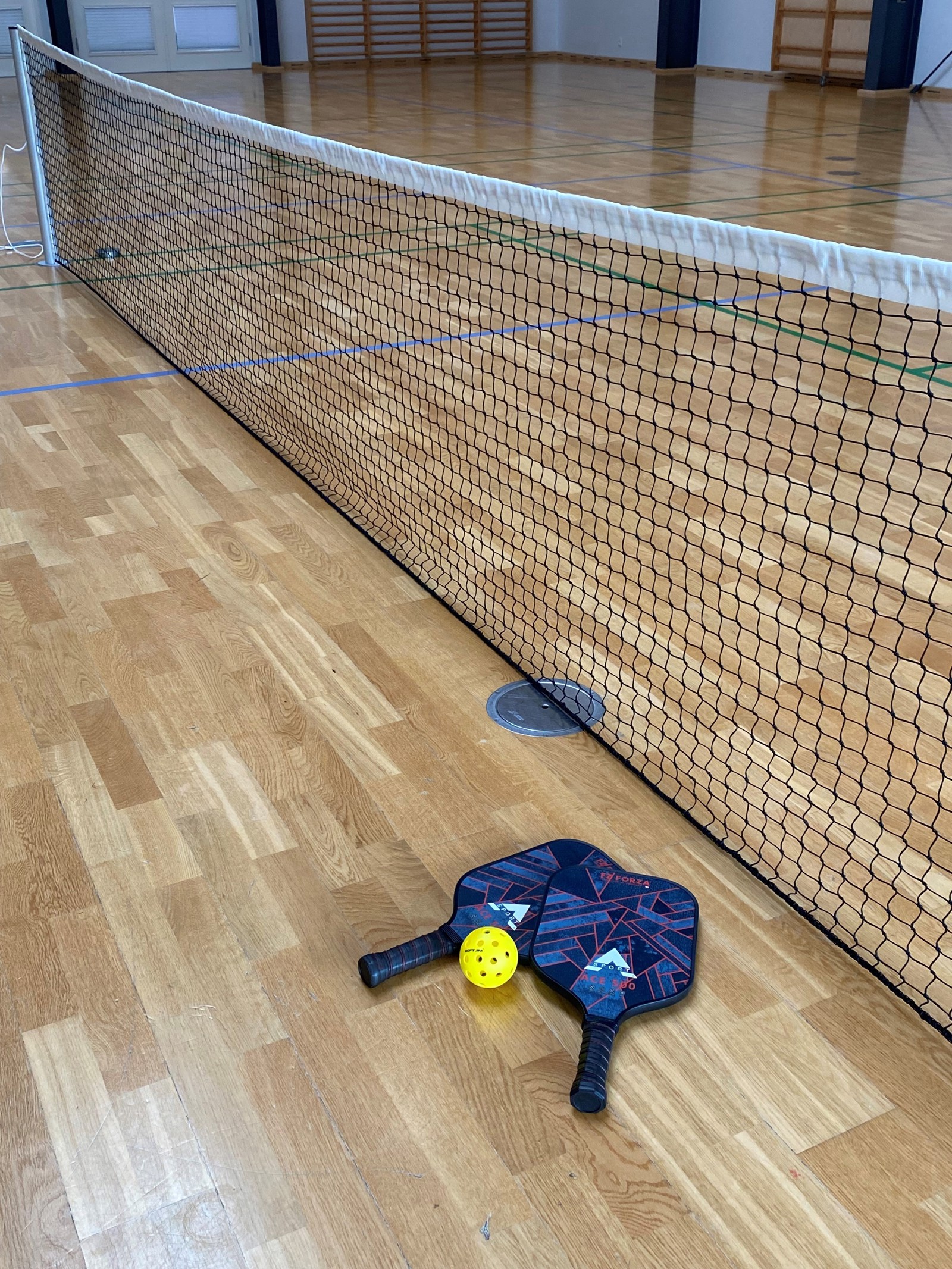 Pickleball1